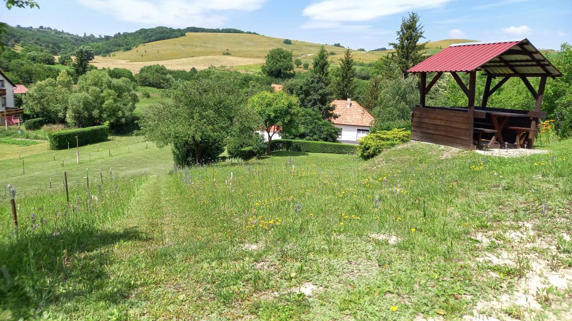 Vadaszles Vendeghaz Bukkszentmarton Exterior photo
